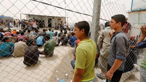 More than 20,000 people have fled Fallujah in the past two days alone, UN says