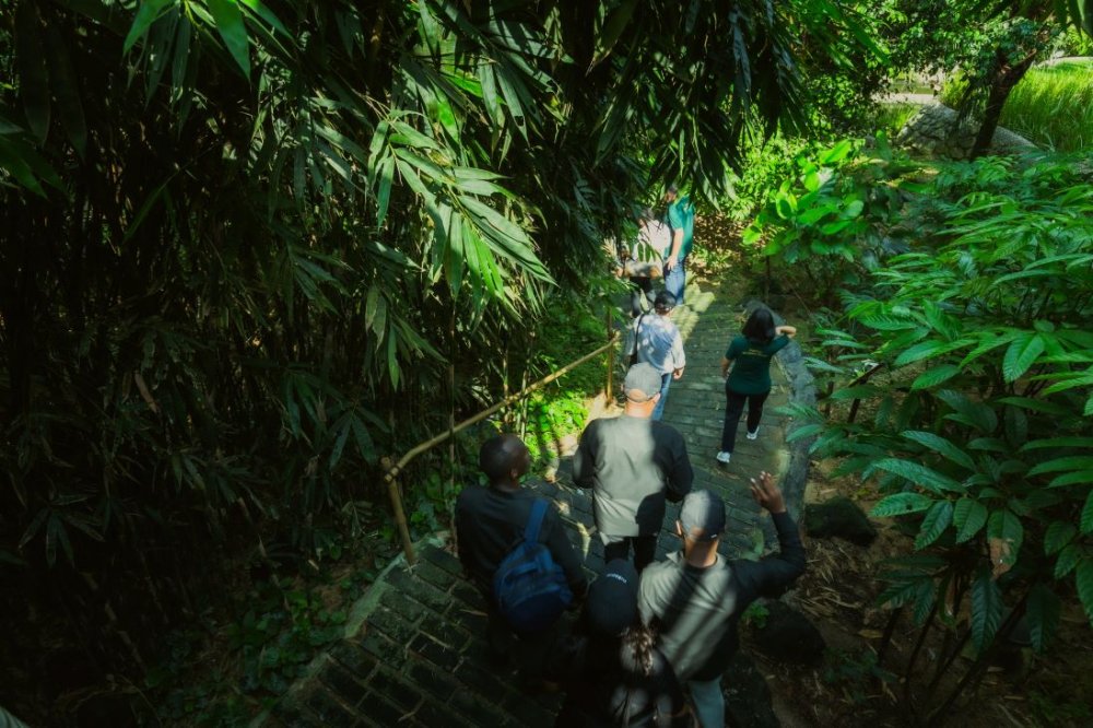 The Nshili-Uwasenkoko-Gisovu trail stands out as the longest trail in Rwanda’s national parks.