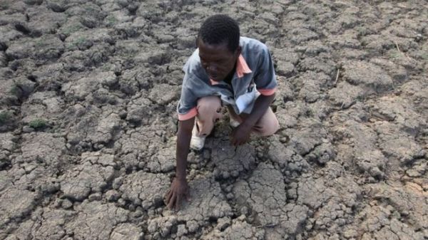 Many parts of rural Zimbabwe have been ravaged by drought