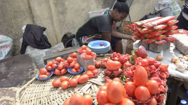 The price of a basket of tomatoes in Nigeria has soared