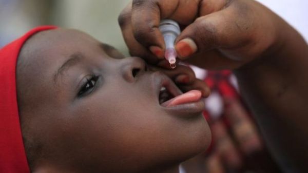 Polio can only be prevented through immunisation