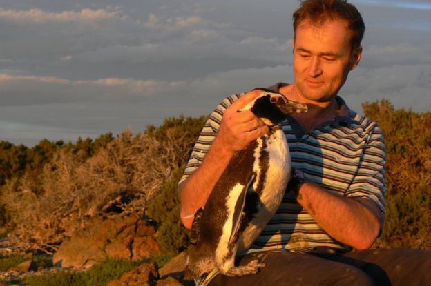 The penguins are a personal favourite for Prof Wilson