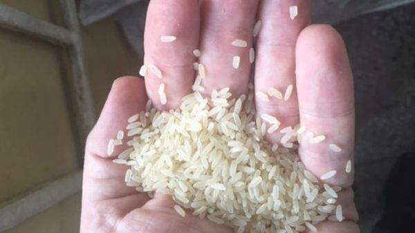 The "plastic rice" looks very realistic