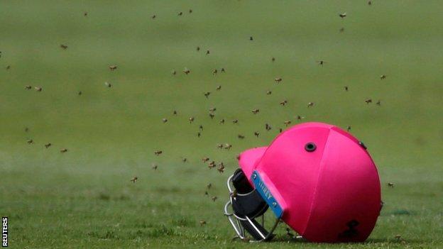 Bees found a home on wicketkeeper Quinton de Kock's helmet