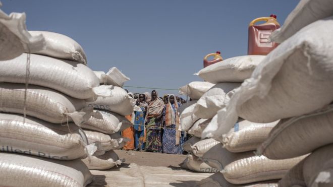 Millions of displaced people rely on food aid in Nigeria