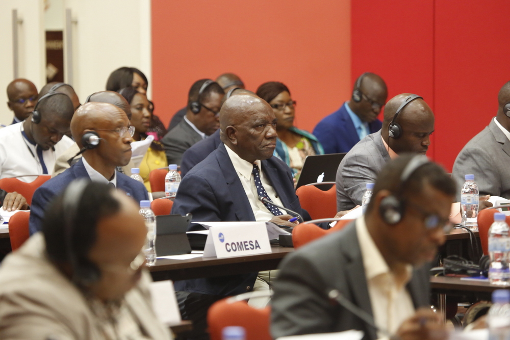 The assemblies bring together about 350 participants from 79 African, Caribbean and Pacific states and 28 European Parliament