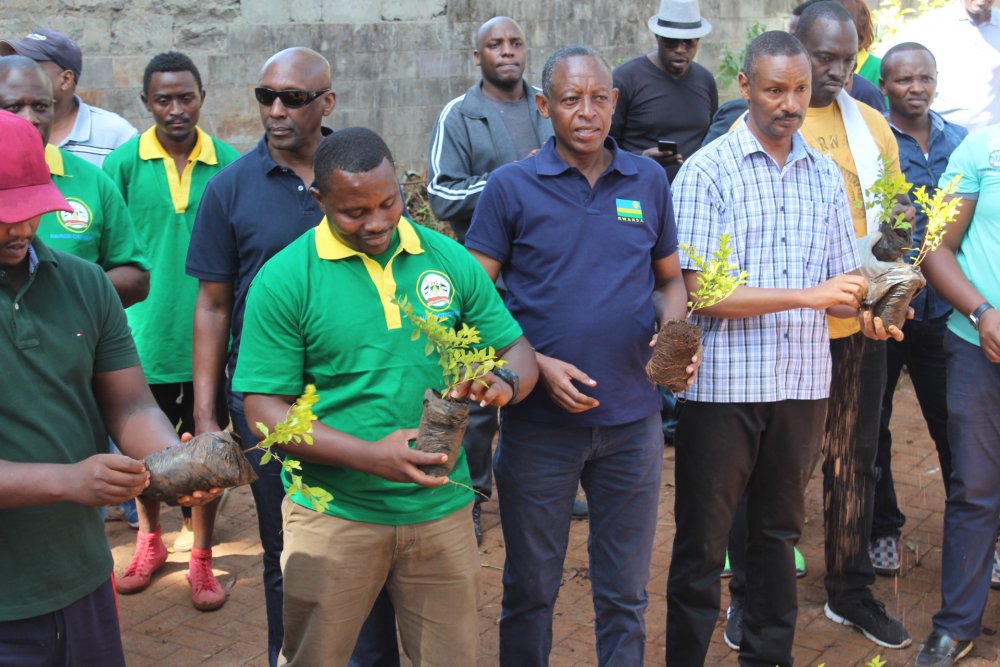 There was also a tree planting session