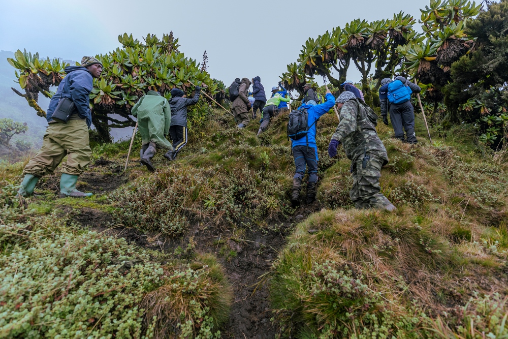 The two-day hike that started on Friday, 21st October 2022.  