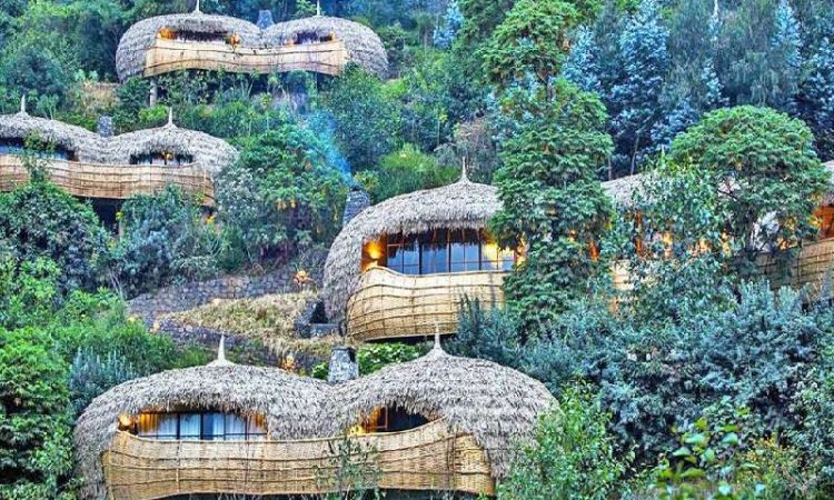 Rwanda's gorilla trekking luxury lodges.