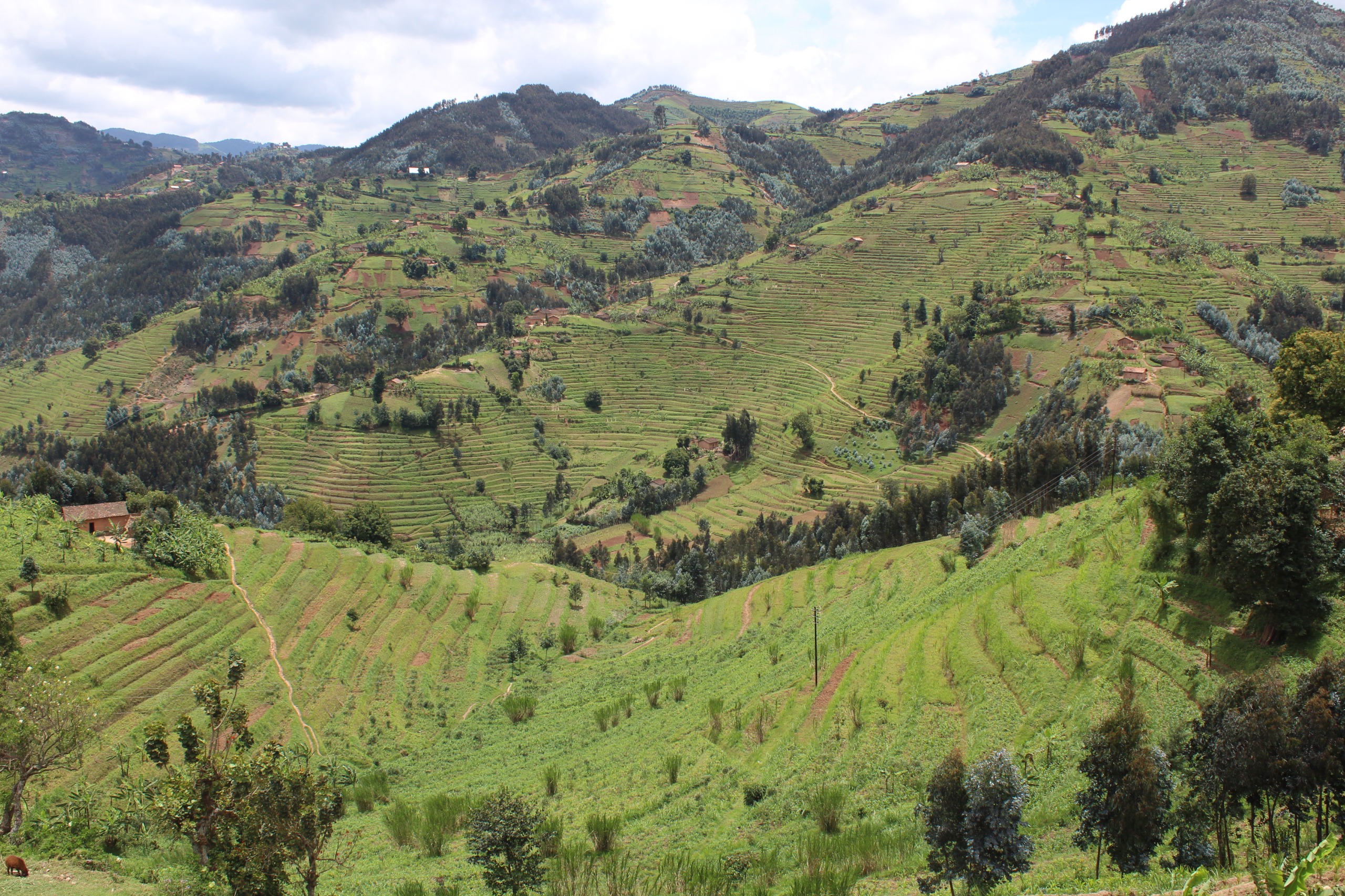 Rwanda's hilly landscape requires extraordinary measures to ensure environmental conservation and protection.