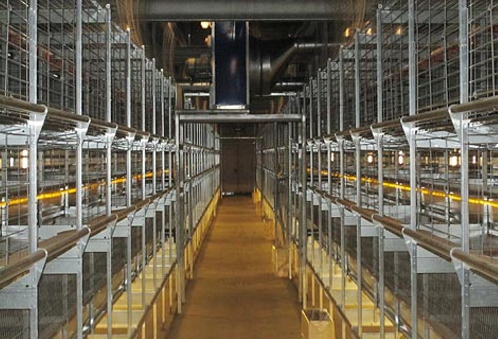 A poultry System traded under Aisance Enterprise that delivers products to different destinations in the world