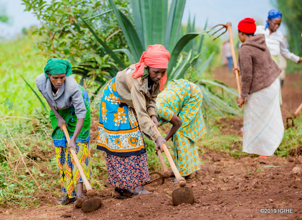 People of different age joined the community work