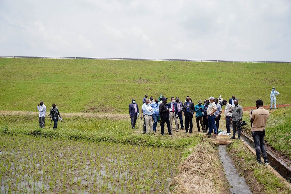 The rehabilitation of Cyaruhogo marshland has helped farmers to double yields.