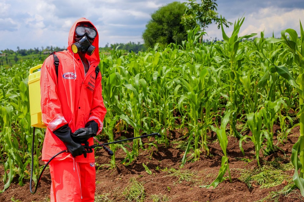 Rwanda will officially launch a subsidized National Agriculture Insurance Scheme 