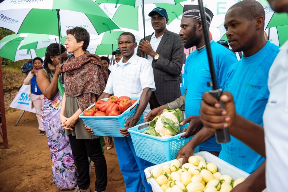 Netherlands Development Organization in Rwanda (SNV Rwanda) has launched a  Euro 16.2 million horticulture project to support over 40,000 farmers