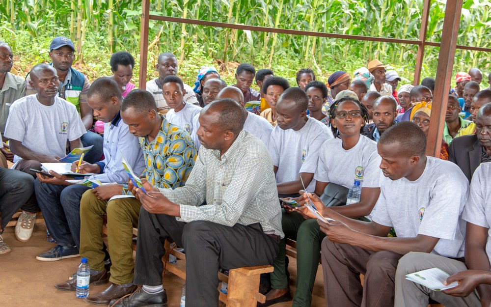 The farmers who were reimbursed had subscribed for crops and livestock insurance.