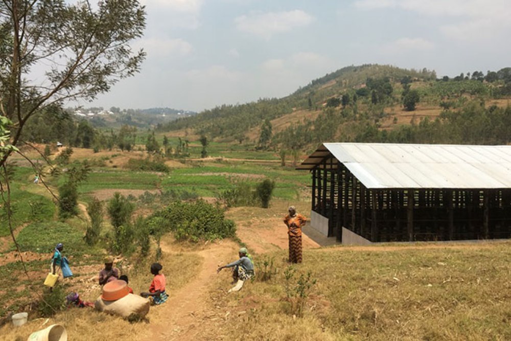 Farmers in Gasovu, Muhanga District.