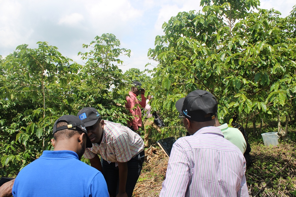 Those who attended the workshop did some practical training on the DFEMS technology.