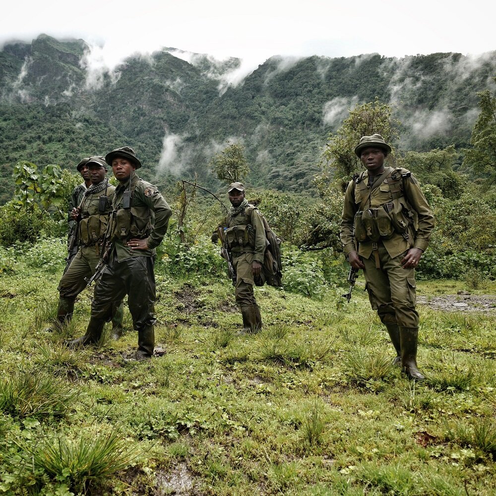 Virunga National Park rangers work with M23 to preserve it.
