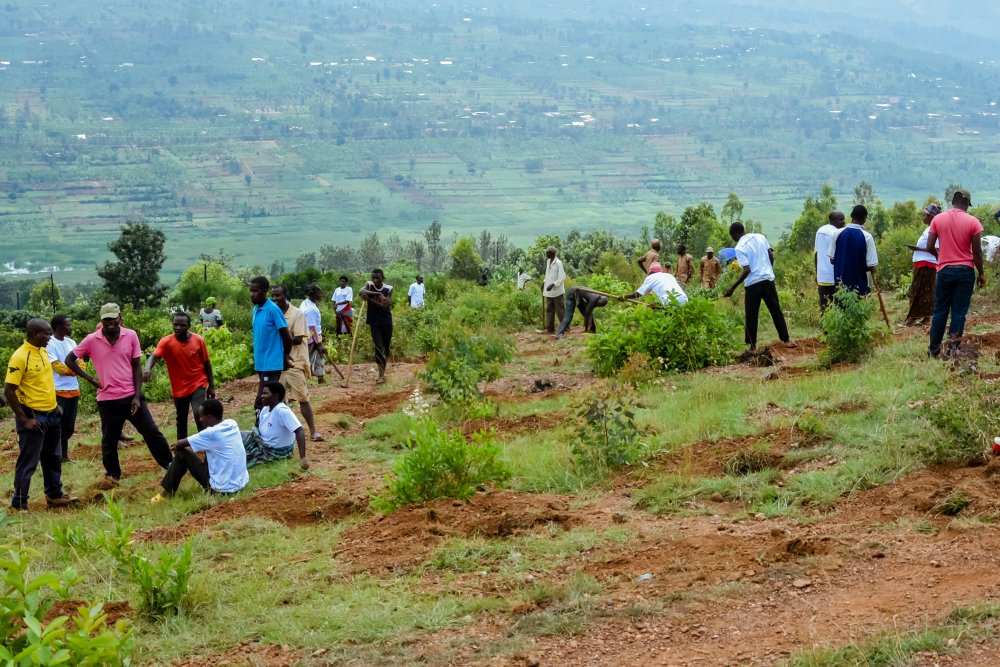 Abaturage residents joined Equity Bank Rwanda PLC to plant trees.