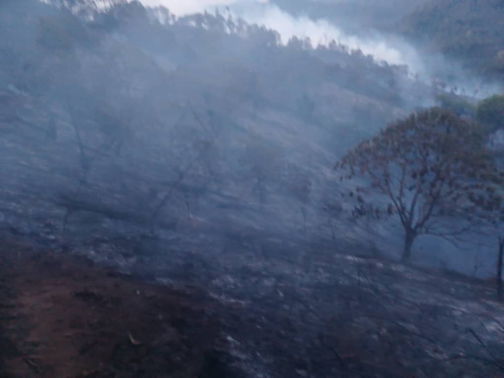 Eyewitnesses on-site indicated that, as of Sunday, approximately 15 hectares had succumbed to the ravages of the fire. 