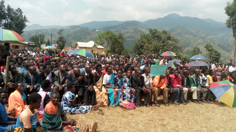 Nyamasheke farmers cry foul as wild animals ravage gardens