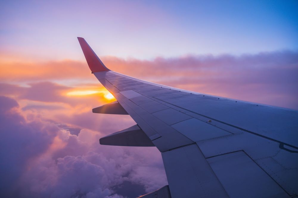 Global airlines are expected to carry fewer than 5 billion passengers in 2025, down from an earlier forecast of 5.22 billion, according to the International Air Transport Association (IATA). Despite economic challenges, IATA says the aviation industry remains resilient.