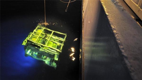 A diving robot of search vessel S V John Lethbridge