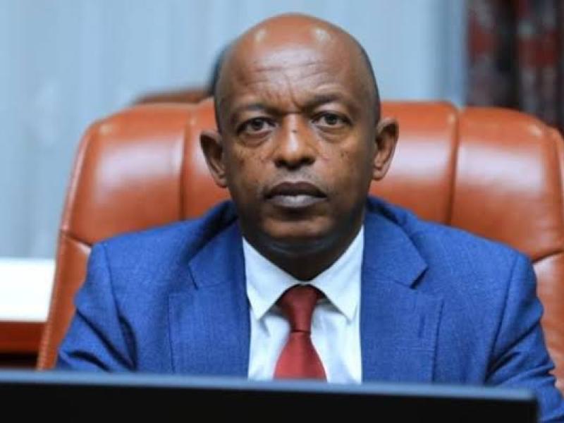 Alexis Gisaro, a Banyamulenge minister, embodies the role of a figurehead who, in the name of his identity, serves as a smokescreen for a regime whose policies have led to the erasure of his community in the martyred hills of Minembwe.