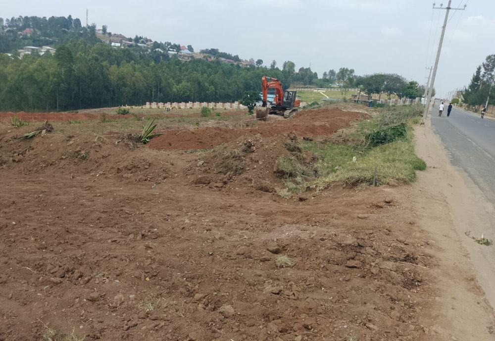This area will host a parking lot capable of accommodating over 800 vehicles belonging to pilgrims visiting the sanctuary.