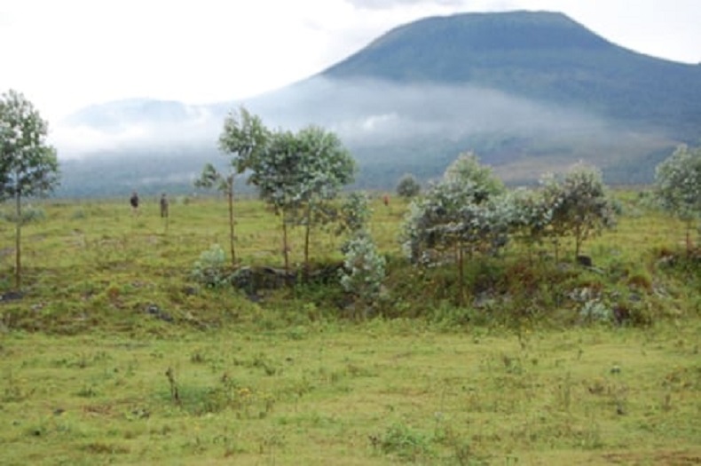 FDLR's combatants have been maneuvering through this plain to attack Rwanda. 