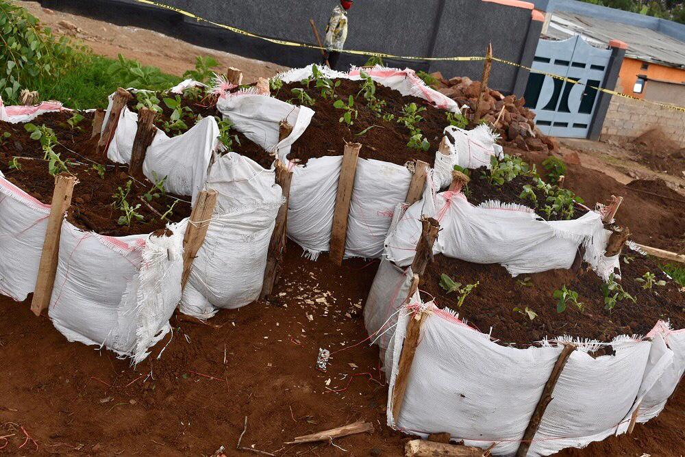 The kitchen garden is expected to contribute to the provision of balanced diet for children.