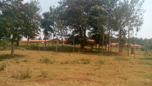 Nkombo Guest House