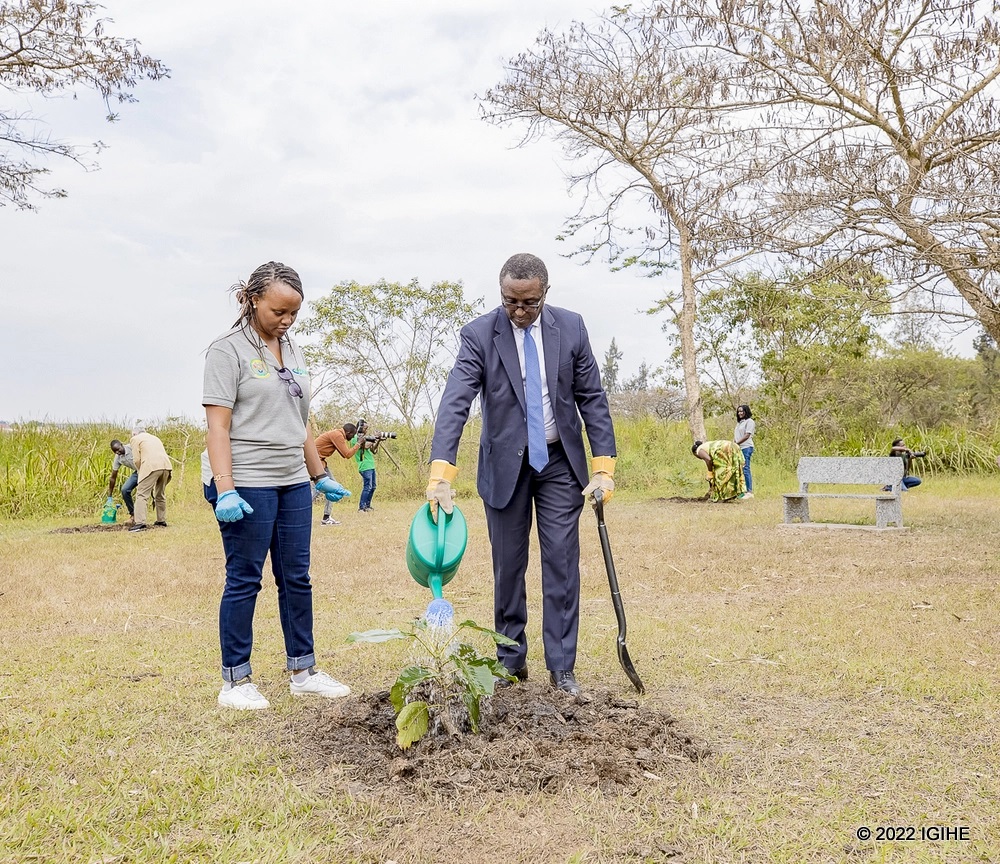 Minister Biruta watering a tree at Nyandungu Eco-Park. 