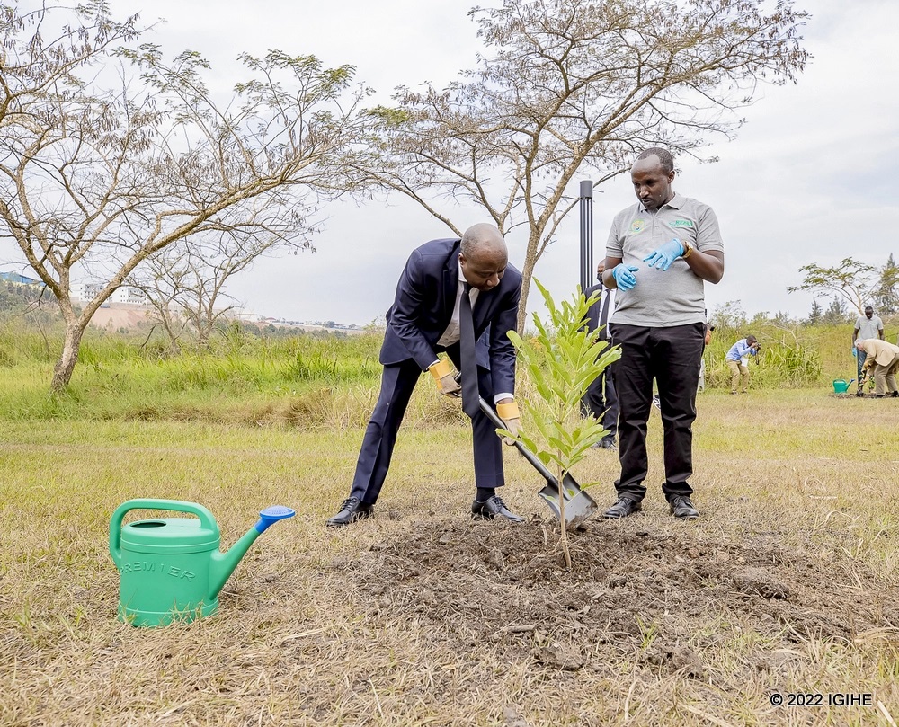 Premier Ngirente planting a tree at the official inauguration. 