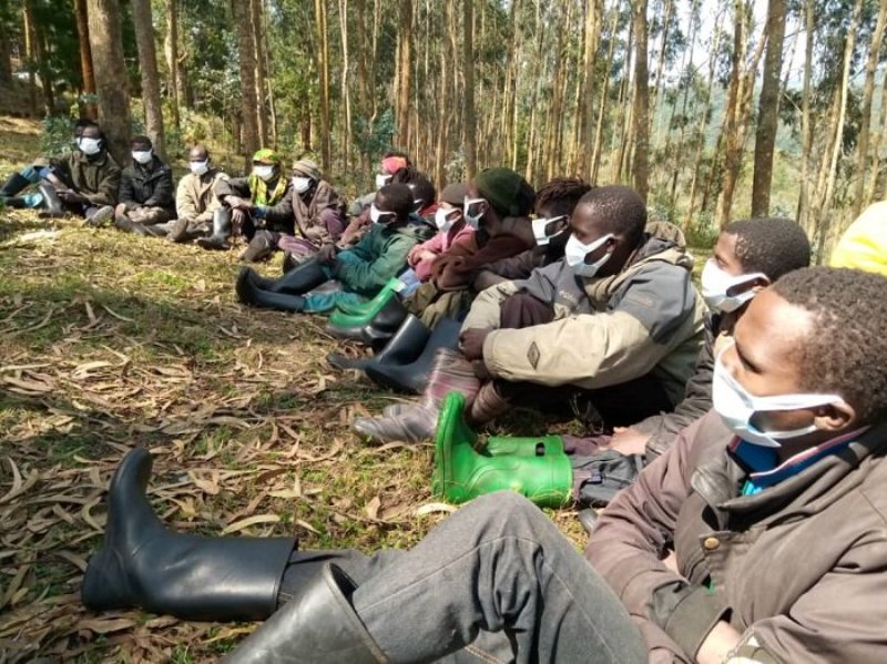 Repatriated rebels were apprehended in September 2020.  