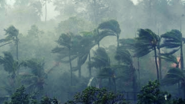 Meteo Rwanda has predicted that there would be strong winds in the night of Wednesday, July 15 to Thursday, July 16, 2020.