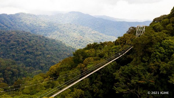 This photo shows the canopy walkway in Nyungwe National Park. Rwanda is among countries that have expended substantial resources to preserve forests. 