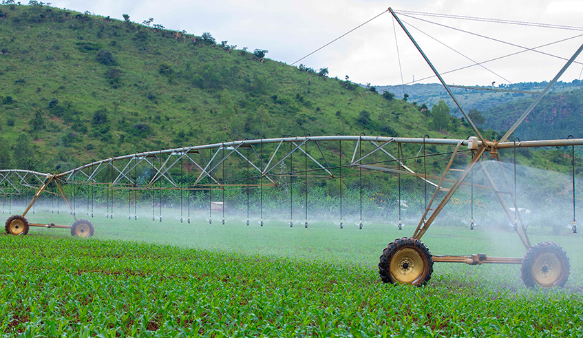 Irrigation plays a pivotal role in boosting agricultural yields.