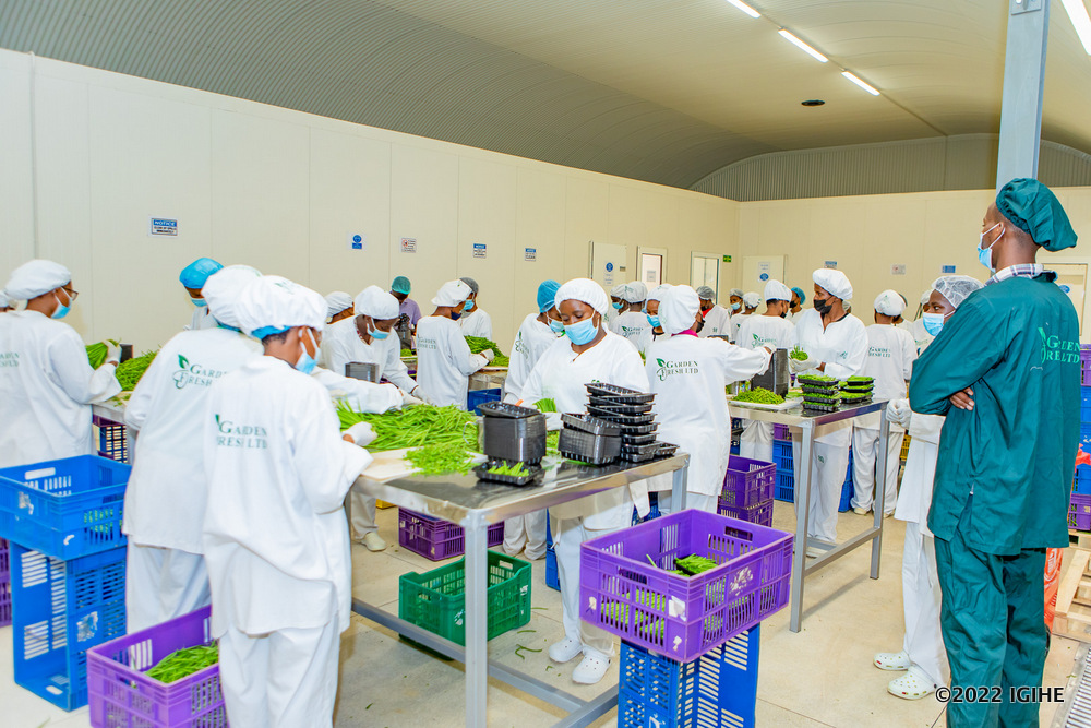 Key recommendations from the report include diversifying exports, boosting intra-African trade, supporting small and medium-sized enterprises (SMEs) , which are responsible for 80% of Africa’s jobs and establishing early warning systems for trade risks.