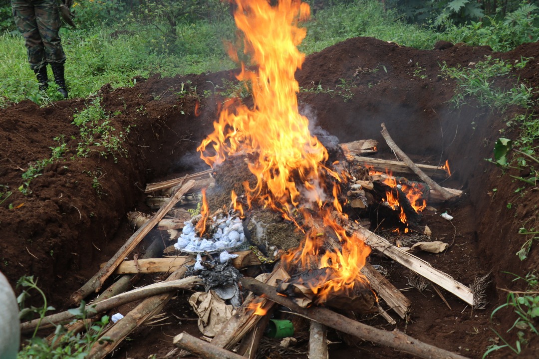 The destroyed narcotics were seized in various operations conducted in two districts.