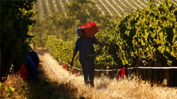 Small-scale farmers are facing tough times because of the worst drought in at least a century