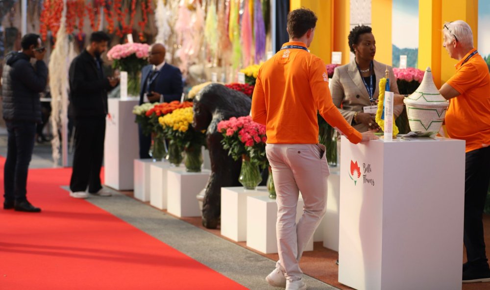 This year’s IFTF, recognized as the world’s largest flower trade event, saw a record number of flower producers, marking a 10% increase from last year.