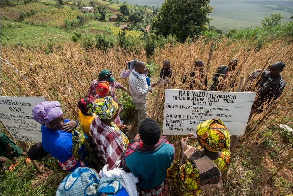 Gicumbi farmers