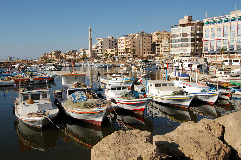 Fourteen officers from Syria's interim Ministry of Interior lost their lives, and ten others sustained injuries in an ambush in Tartus province on Wednesday.