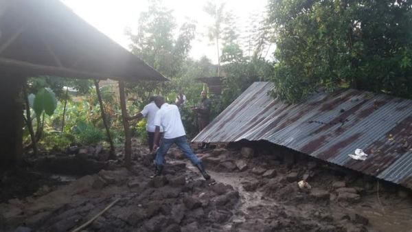 Some of ravaged houses