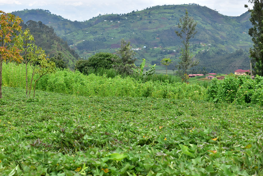Part of the land bequeathed to President Paul Kagame is set to be developed for public infrastructure.