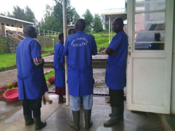 Some of Casual workers of Nkumba Training Center