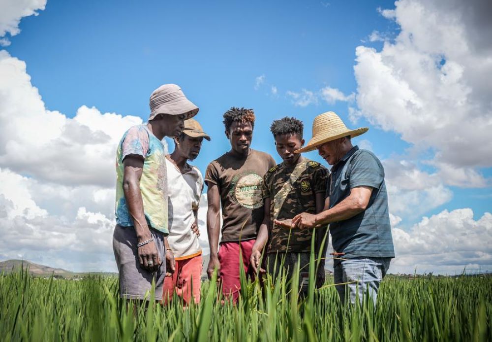 Chinese agronomist Hu Yuefang explains the growth of rice to local farmers at the China Hybrid Rice High-Yield Demonstration Base near Antananarivo, Madagascar, March 25, 2025.