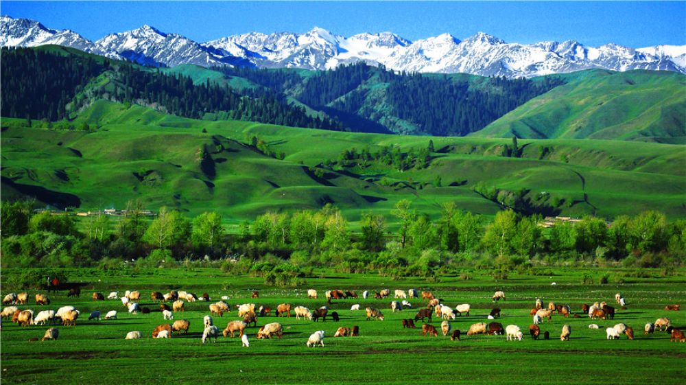 Bayinbuluk is the second-largest grassland in China
